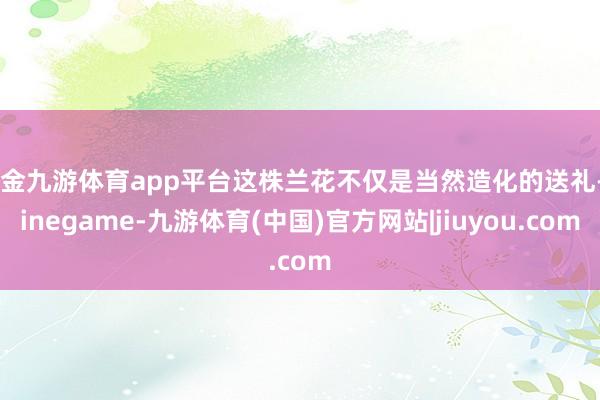 现金九游体育app平台这株兰花不仅是当然造化的送礼-Ninegame-九游体育(中国)官方网站|jiuyou.com