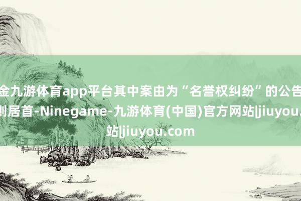 现金九游体育app平台其中案由为“名誉权纠纷”的公告以105则居首-Ninegame-九游体育(中国)官方网站|jiuyou.com