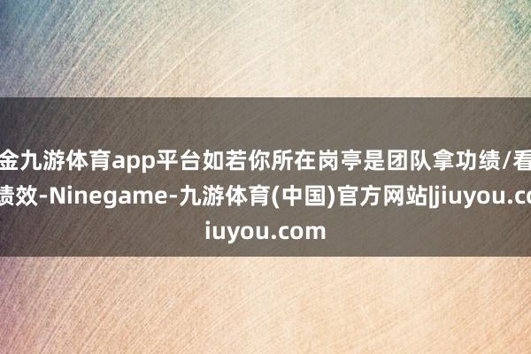现金九游体育app平台如若你所在岗亭是团队拿功绩/看合座绩效-Ninegame-九游体育(中国)官方网站|jiuyou.com
