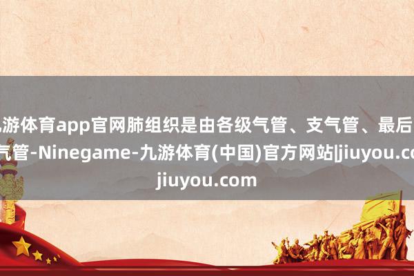 九游体育app官网肺组织是由各级气管、支气管、最后细支气管-Ninegame-九游体育(中国)官方网站|jiuyou.com