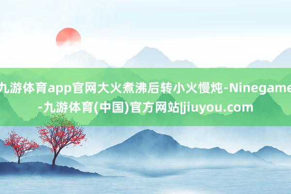 九游体育app官网大火煮沸后转小火慢炖-Ninegame-九游体育(中国)官方网站|jiuyou.com
