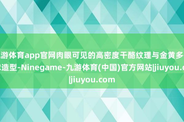 九游体育app官网肉眼可见的高密度干酪纹理与金黄多孔半球造型-Ninegame-九游体育(中国)官方网站|jiuyou.com