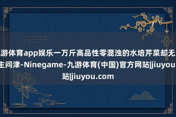 九游体育app娱乐一万斤高品性零混浊的水培芹菜却无东说念主问津-Ninegame-九游体育(中国)官方网站|jiuyou.com